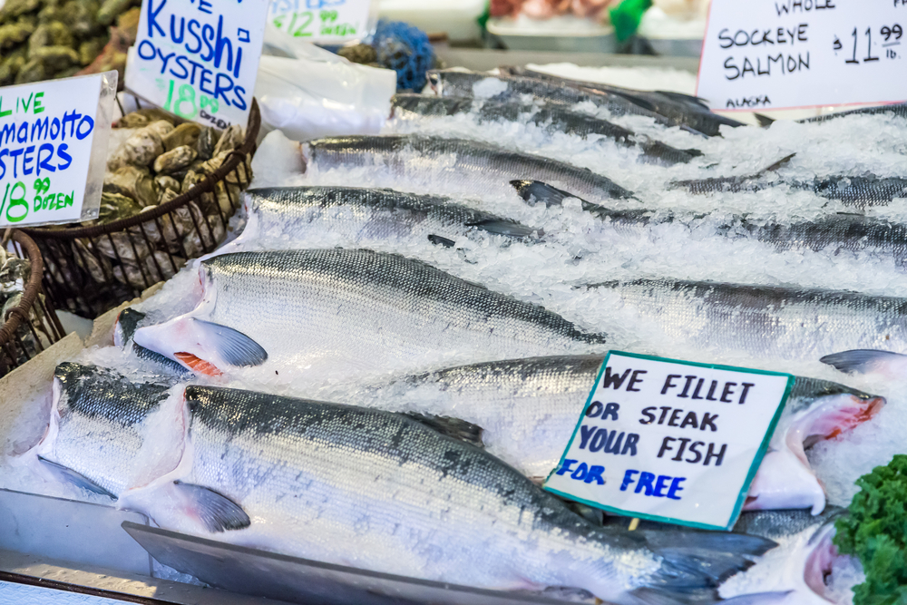 Bristol Bay Sockeye Run and Harvest Increased in 25