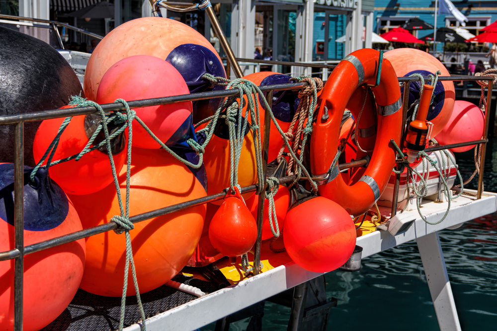 Seafood NZ to Launch Appeal Against Council