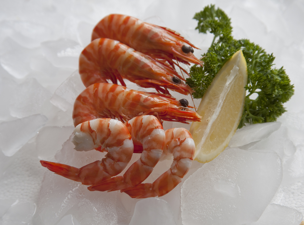 Banana Prawn Fishers Face Worst Conditions Yet in Late Queensland Wet Season