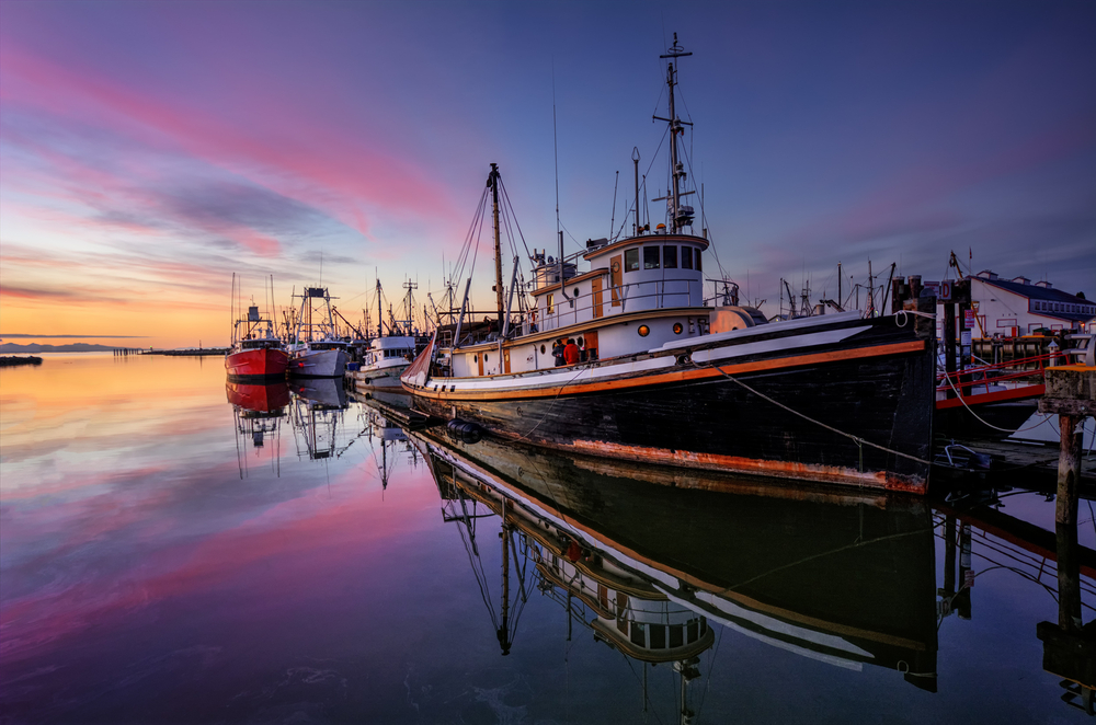 Brussels Notes Improvement in Mediterranean and Atlantic Fisheries Despite Climate Change Impact