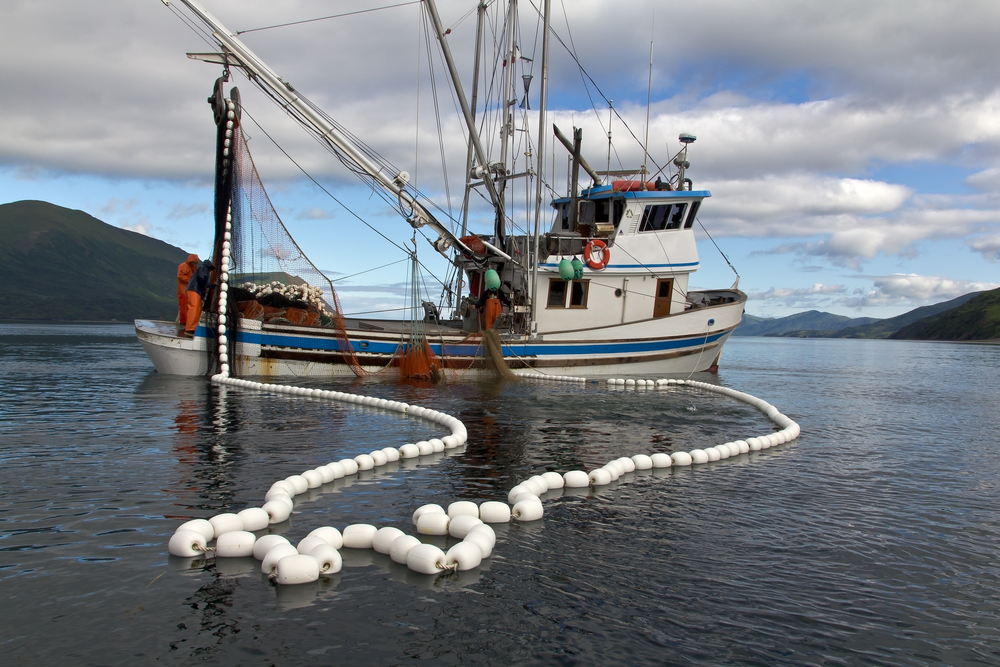 Alaska Fish Radio: AK Fish Catches, Revenues For 2020 Mostly Leave The State