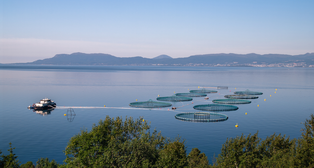 Norways Resource Rent Tax on Aquaculture Passed By Parliament