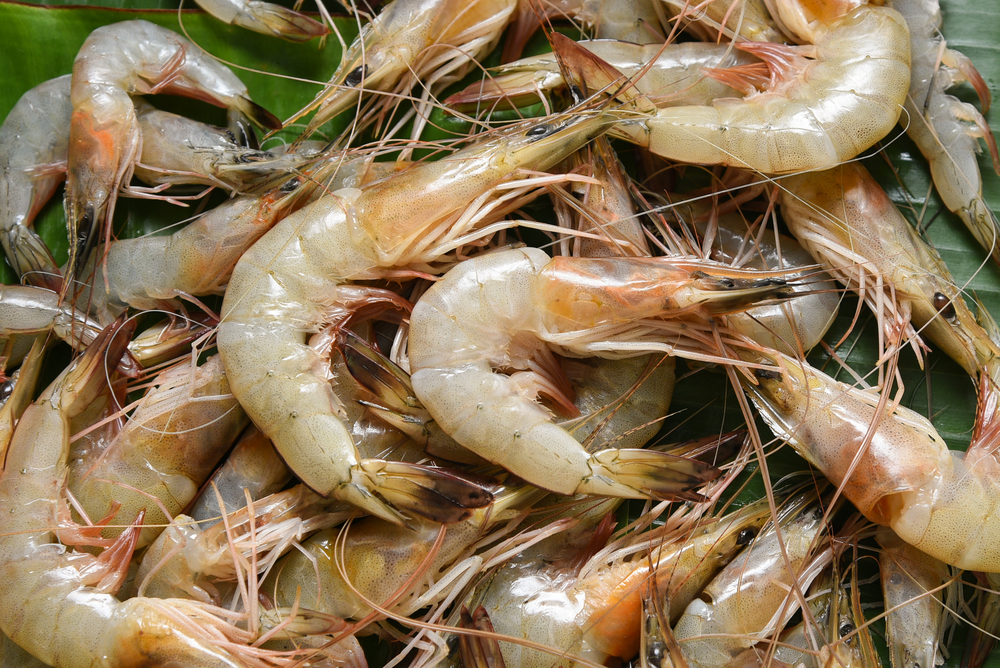 Indias Seafood Exports Surge Despite Global Uncertainties