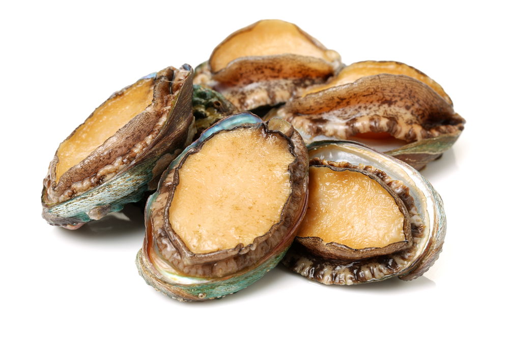 Tasmanian Abalone Exports Dive as Competition from Farmed Operations Heats Up