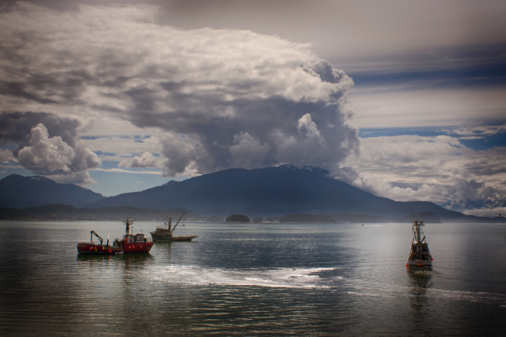 Alaska’s Statewide 2022 Salmon Harvest Had Lower Harvest, Higher Value