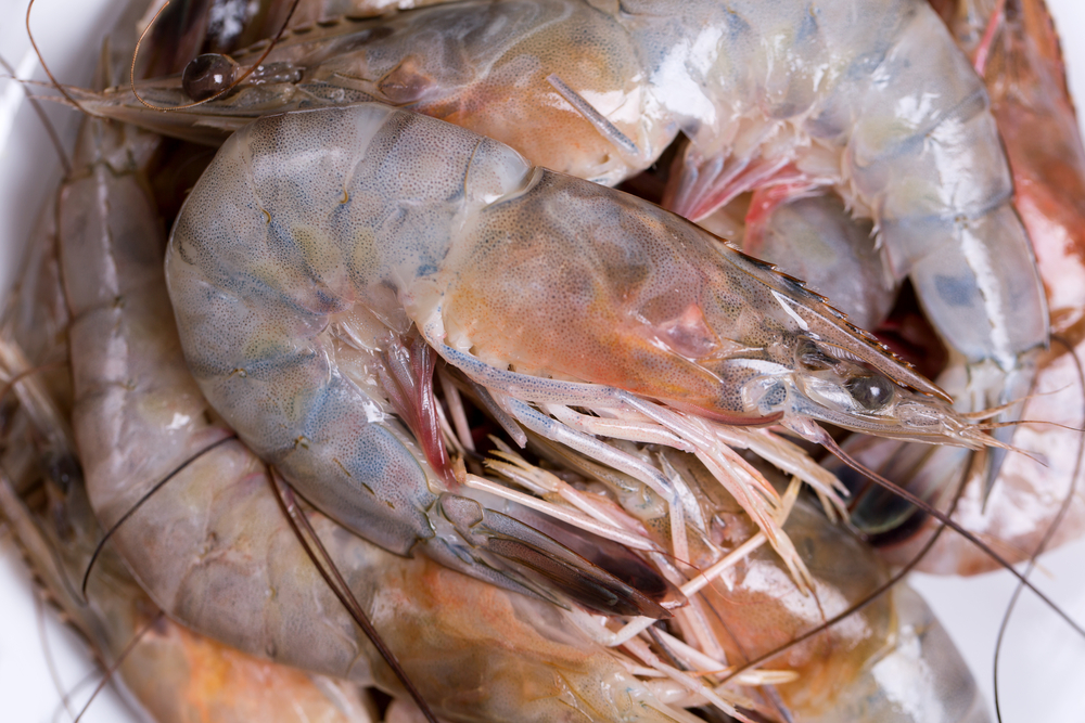 Louisiana Inland Shrimping Season Opens. Shrimpers Navigate Uncertain Market