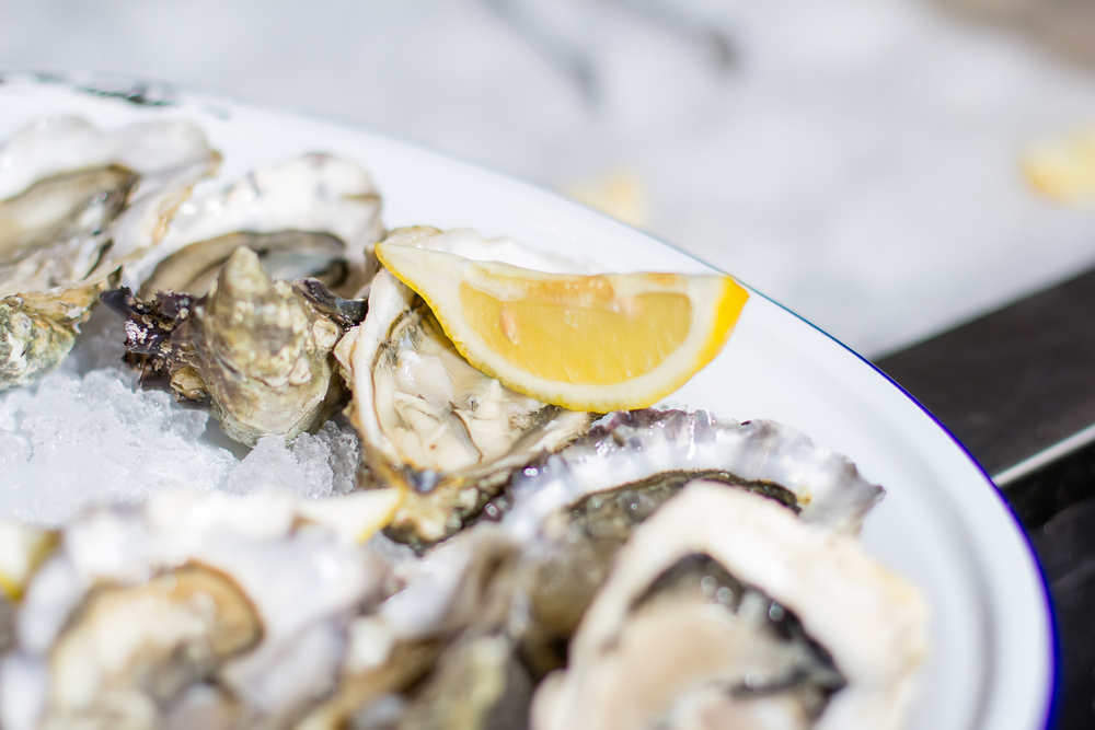 Mississippi Fishermen Sue the State Over Oyster Reef Leases