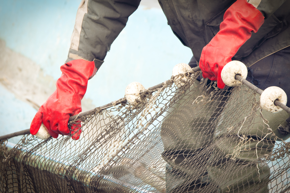 US Food Producers Celebrate Tariffs, Urge More for Imported Seafood, Honey