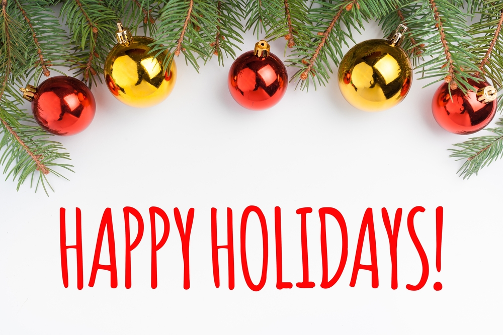 Expana Publication Schedule for the 2025 Holiday Period