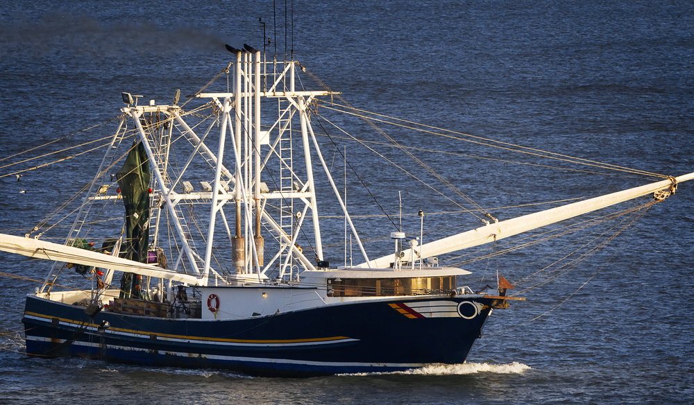 Trade Wars Impact Ripples Across Industries