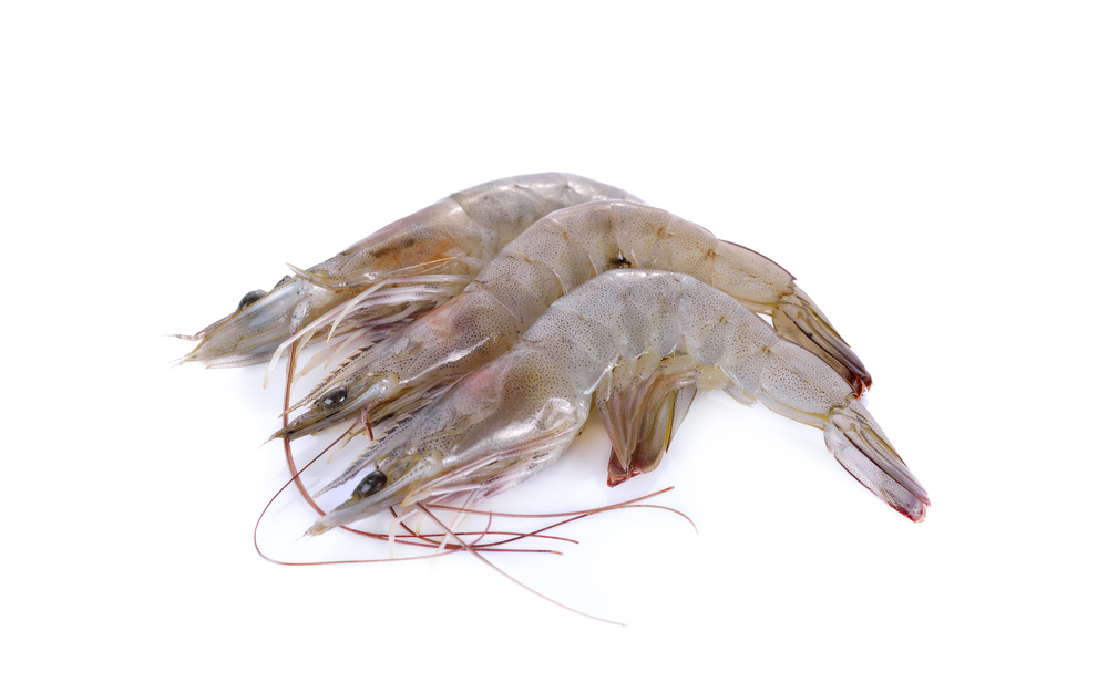China Customs Agency Suspends Shrimp Imports From Ecuador and India as COVID Cases Rise