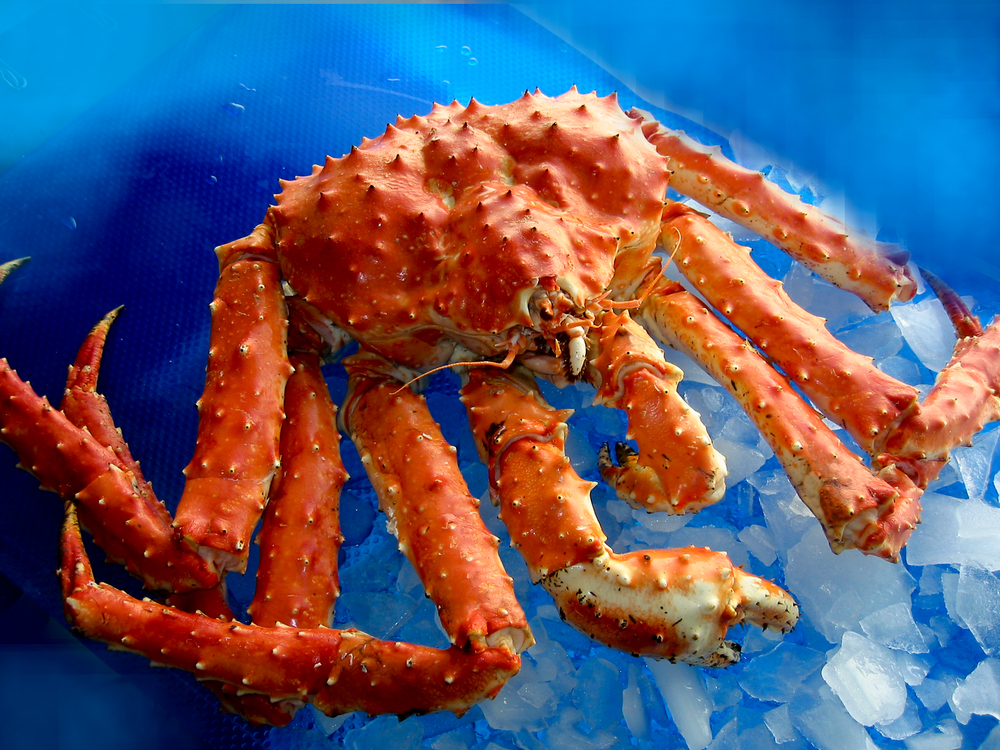 Shadow Crab Market Persists in Russia Despite Crackdown and Legal Reforms