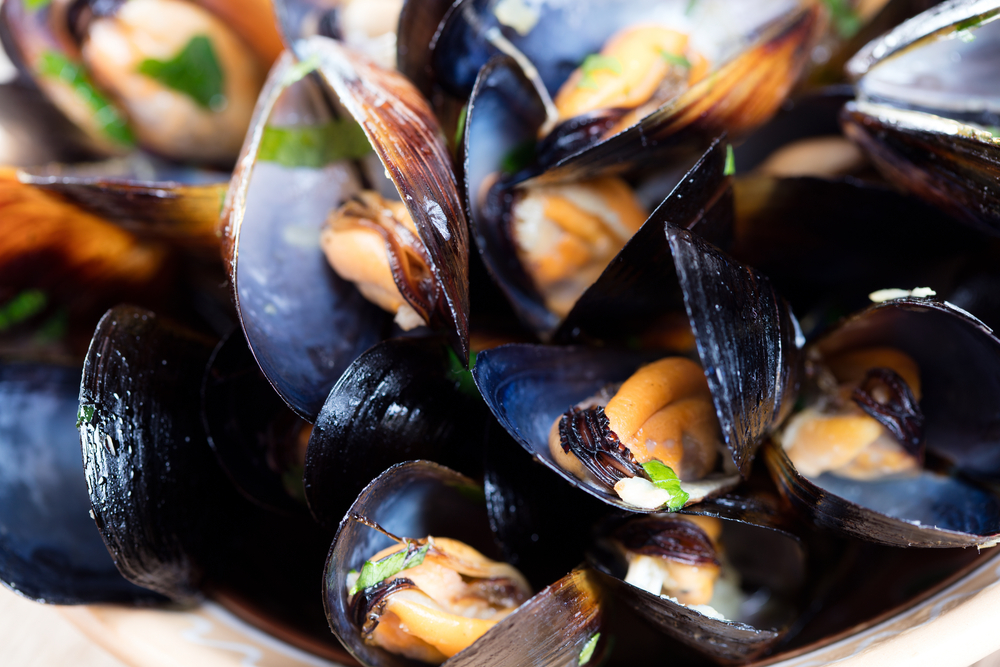 Mussels: Advancements in Sustainable Cultivation and Research at WU