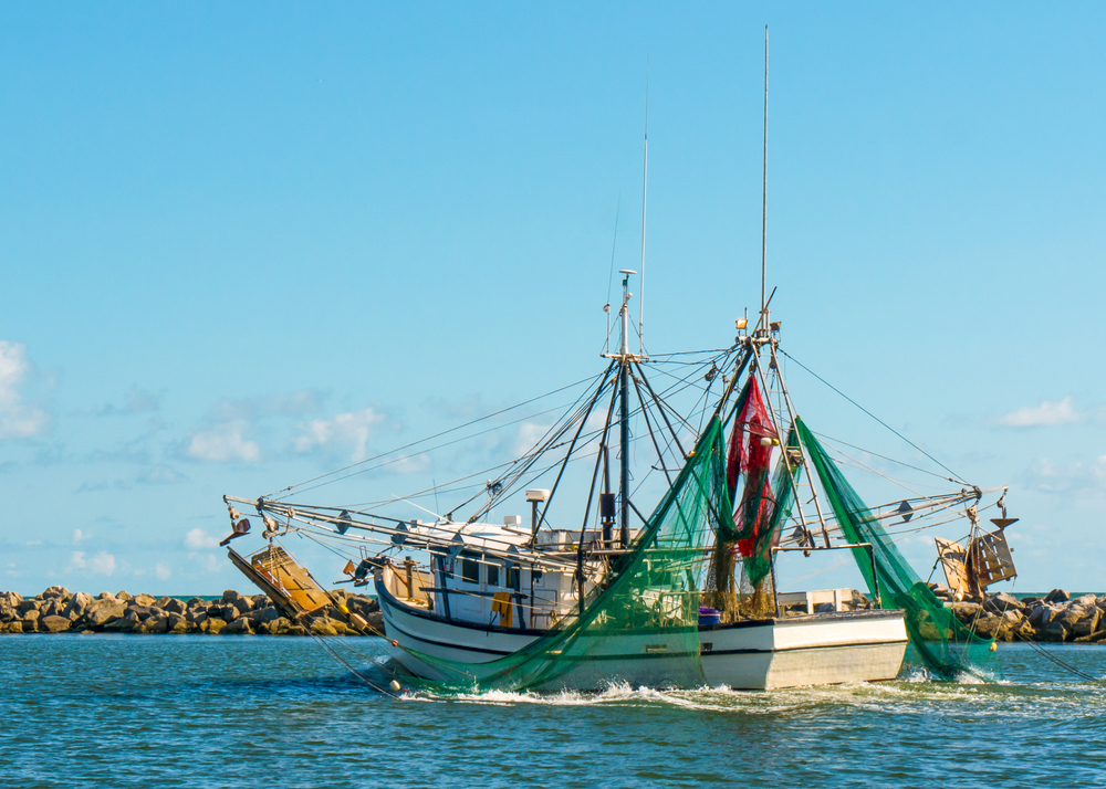 Trump Can Be Hard to Take, But His Tariffs Keep This Fisherman Afloat