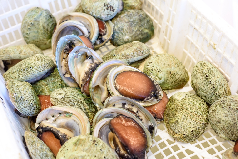 Australian Fishermen Snagged in Alleged Shellfish Syndicate