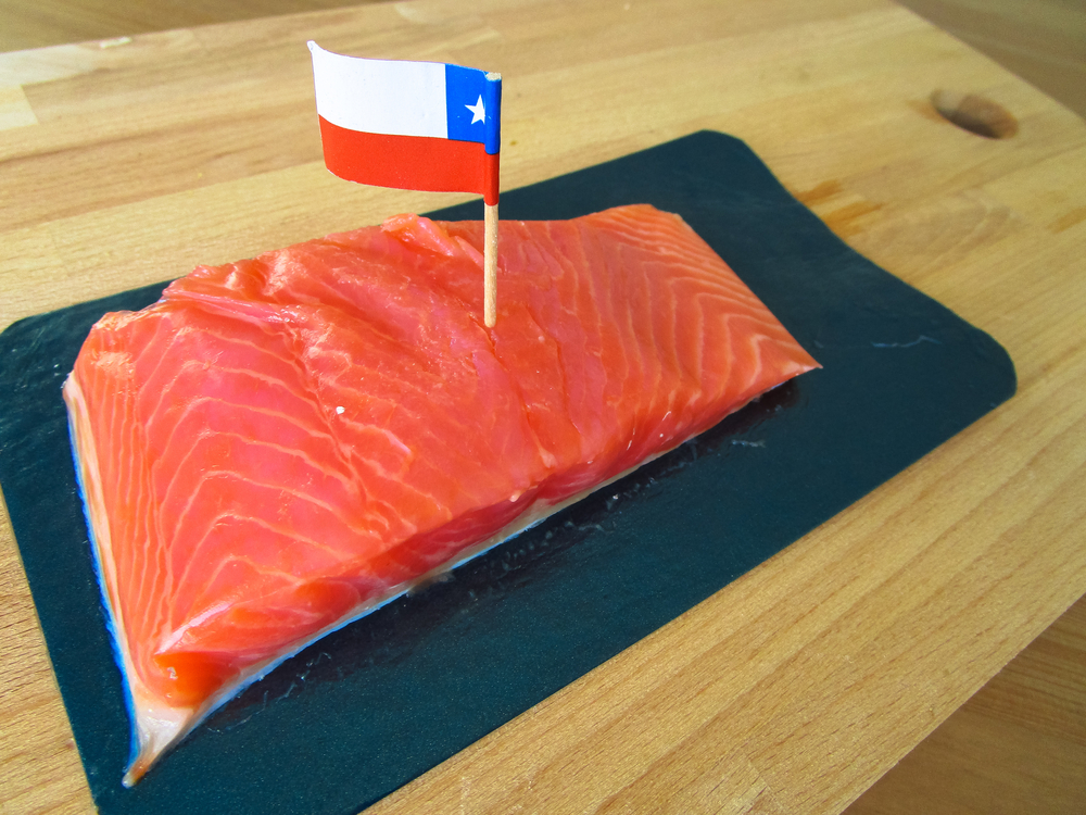 Chilean Salmon Industry Sees 3% Growth YOY in 2025