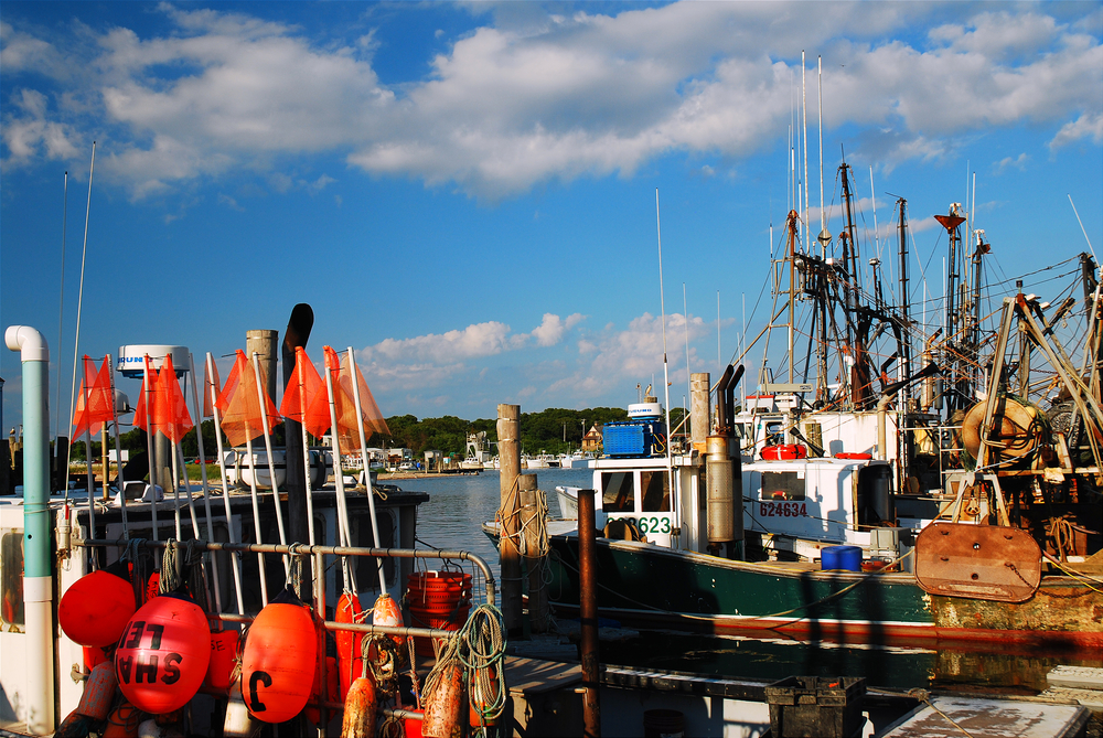 NY Agriculture Commissioner Announces $1.2 Million Available to Support Long Islands Aquaculture