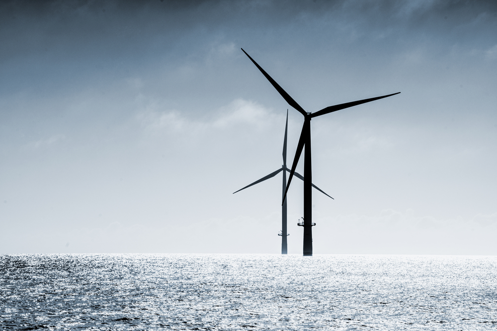 Green Oceans and Allies Urge Interior Secretary Burgum to Halt Offshore Wind in New England