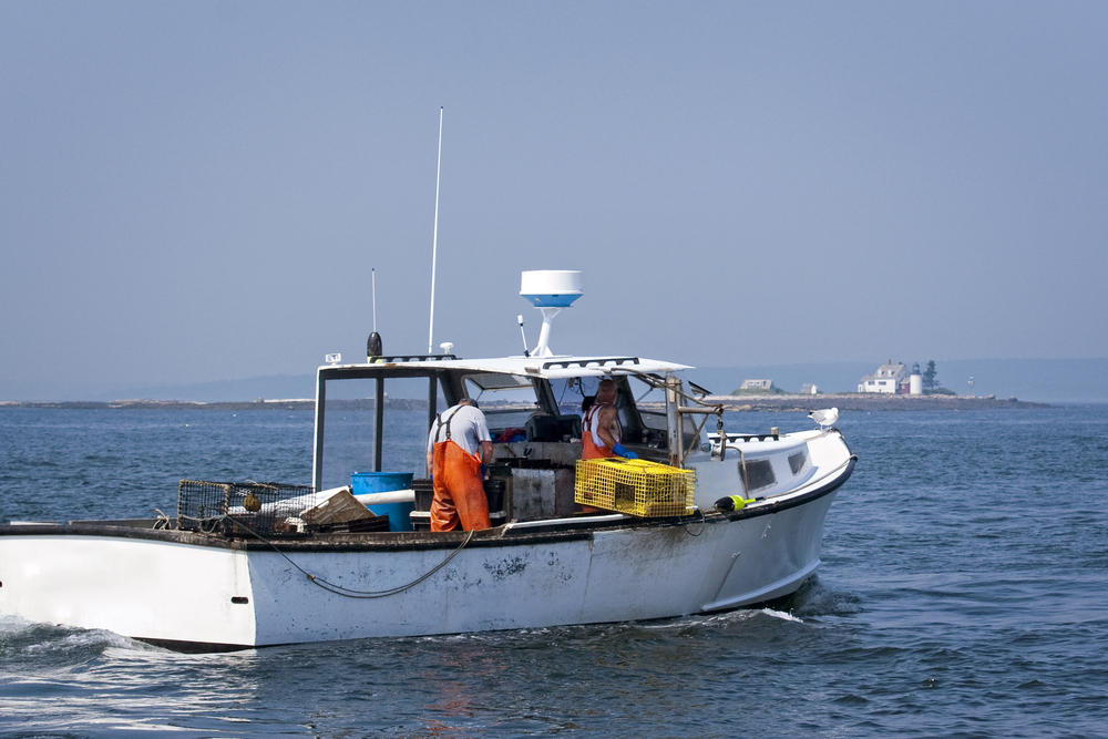 Maine Lobstermen Get Chance to Inform Future of Fishery