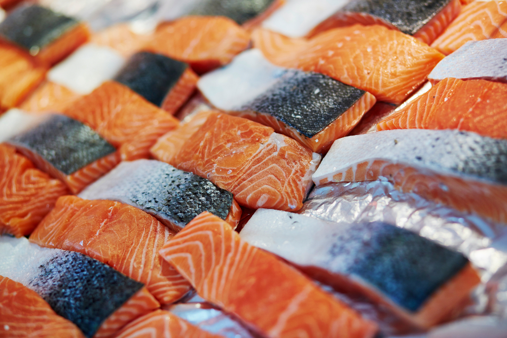 Mori Trust Joins Pure Salmons Land-Based Aquaculture Project