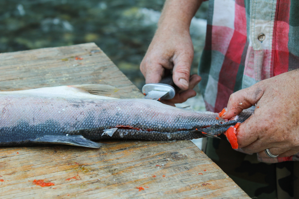 Trump Administration to Review Subsistence Program