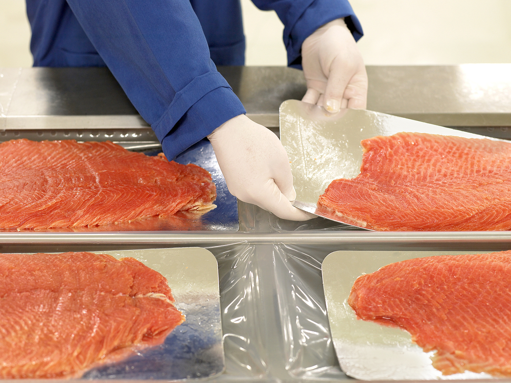 Fish Industry Halts Exports, Delays Investments on Tariff Fears