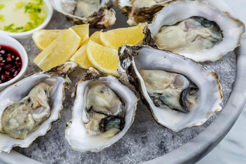 Kooringal Presents as a Large-Scale Oyster Operation with Massive Potential