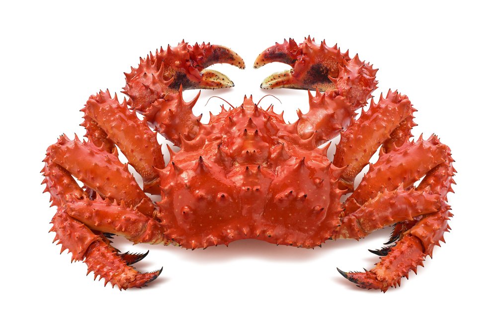 JAPAN: Imported Frozen King Crab Price Rise 90% To Over 10,000 yen/kg