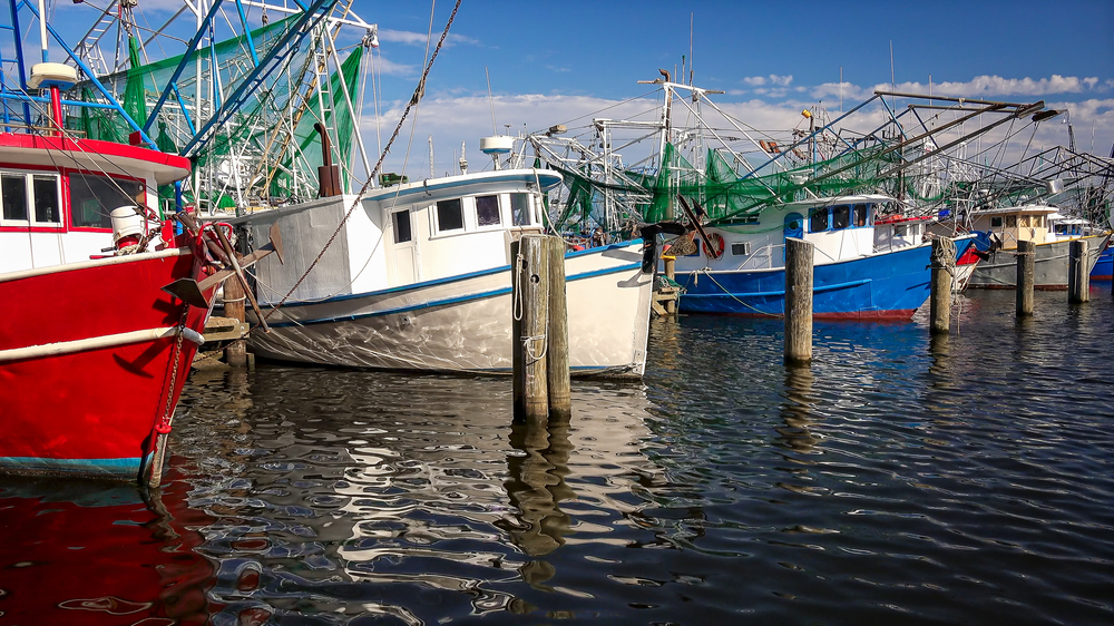 GAO Study Finds Fishery Disaster Assistance Process is Changing; Challenges Remain