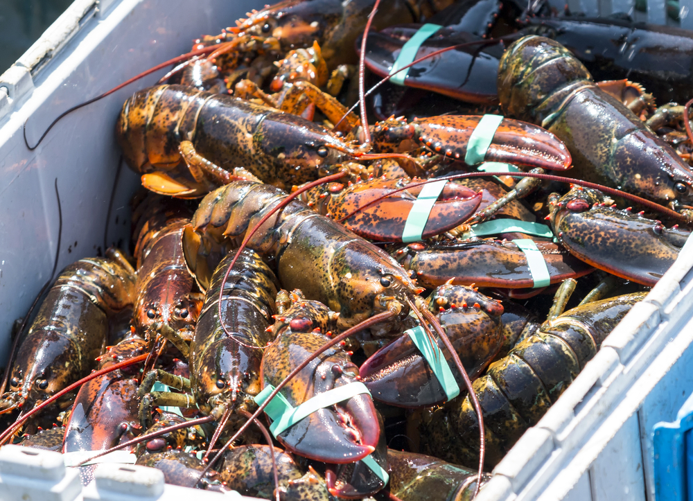 Canada Pulls Seafood From Counter-Tariff List After Industry Pushback