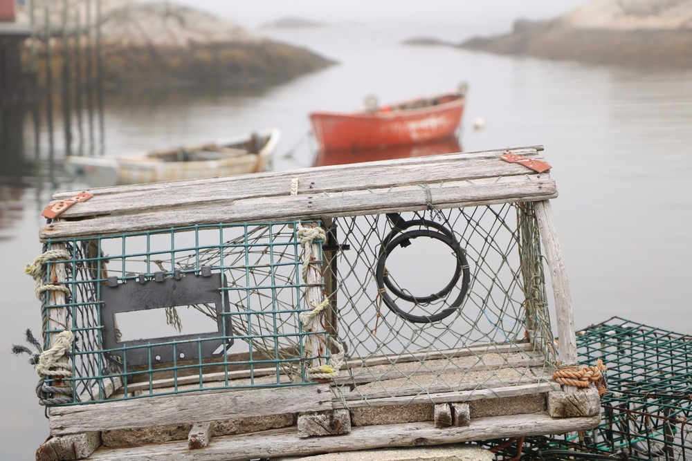 Fishers in Atlantic Canada Count on Big Catches to Make up Losses, But Cold Ocean Temps Shrink Hauls