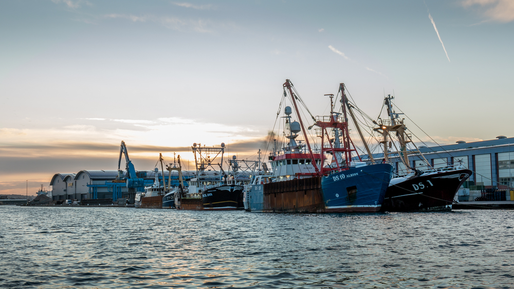 New Fishing Laws ‘Failing to Help UK Fish Stocks’