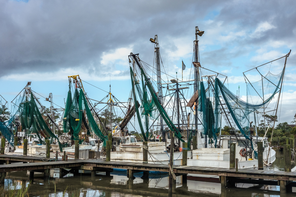 Why the Fight Over Shrimp in NC Could Just be Getting Started