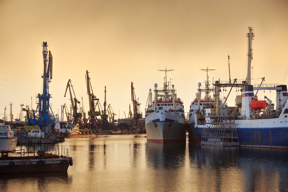 Baltic Nations Raise Concerns Over Potential Stock Drops of Baltic Sea Species