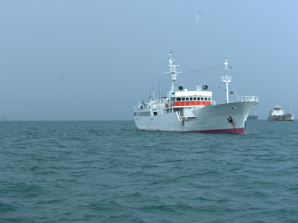 New Satellite Technology Detects Illegal Fishing in Protected Areas