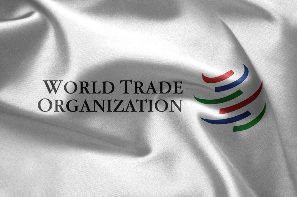 Deal to Curb Billions in Overfishing Subsidies Comes Into Force at WTO