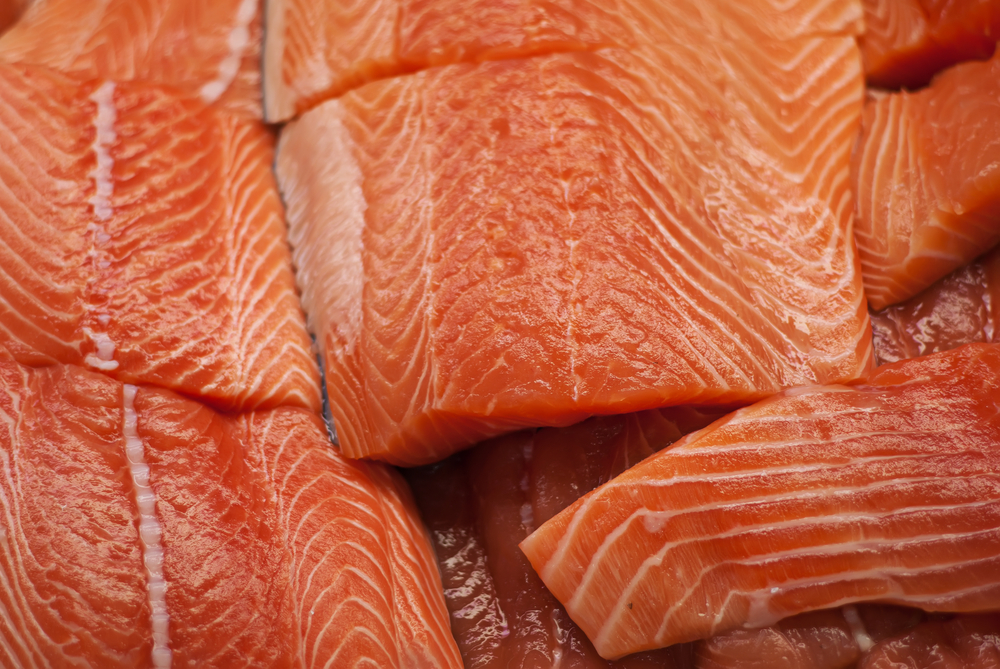 Go Fish: China to Deliver Worlds First Salmon-Farming Ship, Modernizing Fisheries