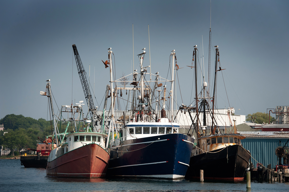 Commercial Fishermen Welcomed Trump’s Promise to Roll Back ‘Overregulation.’ What Do They Think Now?