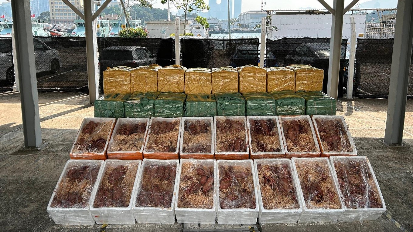 Hong Kong Customs Agents Seize Lobster, Shark Fins in January