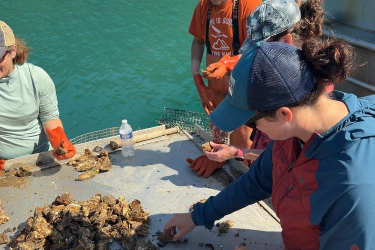 NOAA Fisheries Visits Alaska Aquaculture Farms to Assess Marine Mammal Interactions