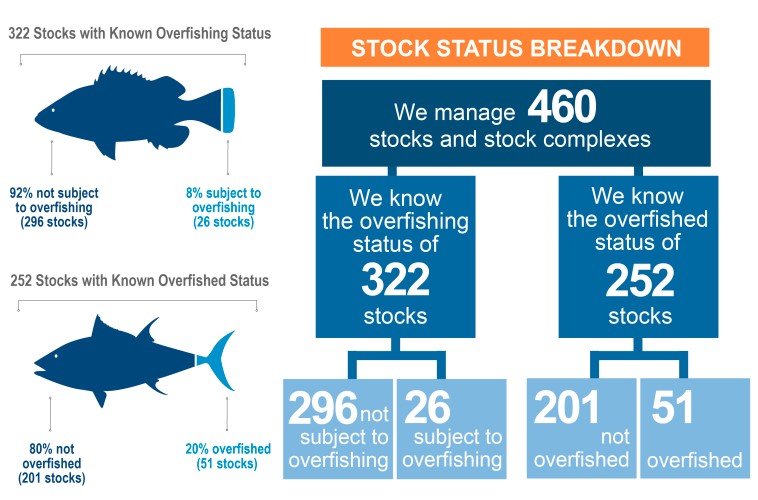 The Biggest Takeaways From NOAA’s 2021 Status of The Stocks Report