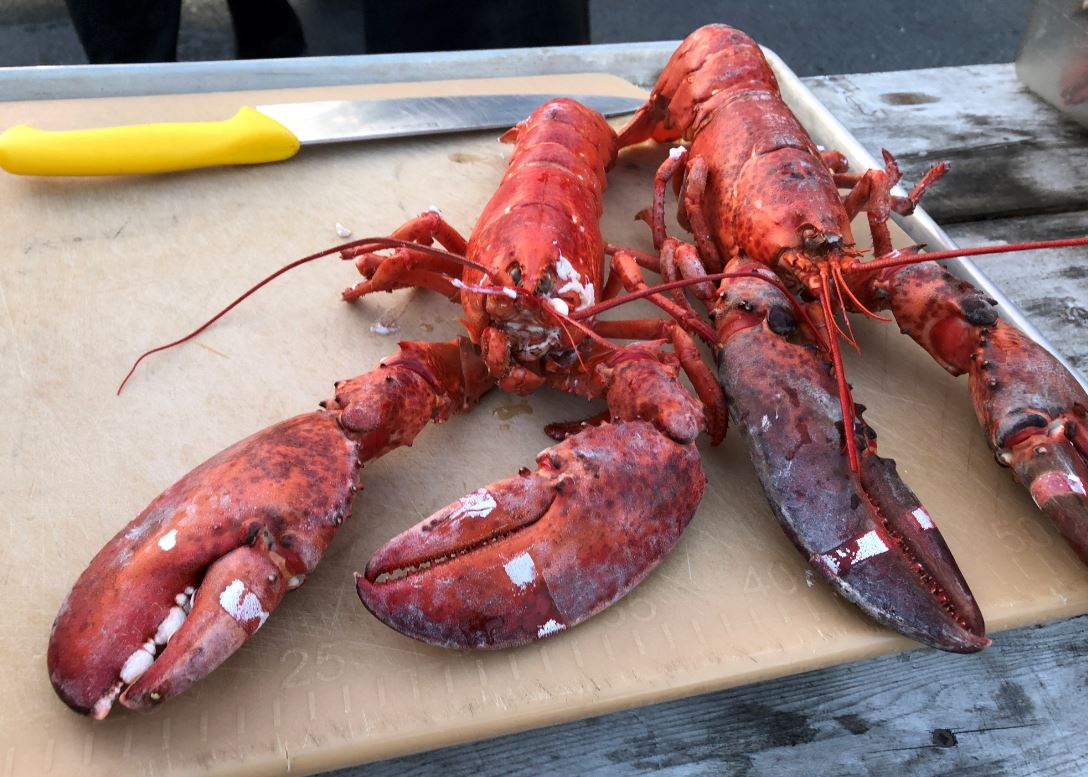 Senate Recognizes September 25th as National Lobster Day for 4th Straight Year
