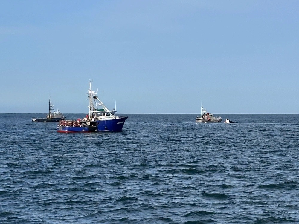 US Coast Guard Suspends Search for Man Near Westport