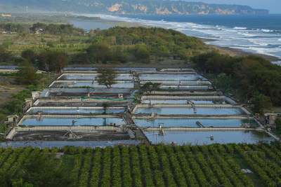 Pebble Labs, Virbac Working to Provide Solutions for Aquaculture Disease Prevention