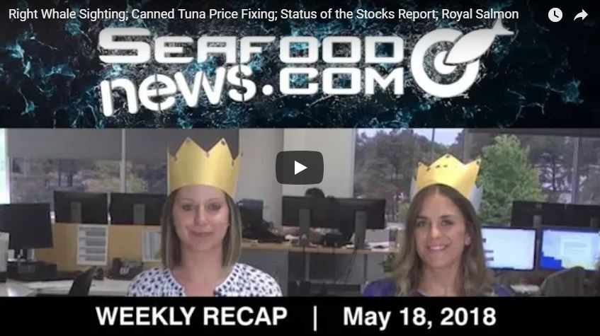 VIDEO: Right Whale Sighting; Canned Tuna Price Fixing; Royal Wedding Salmon and More